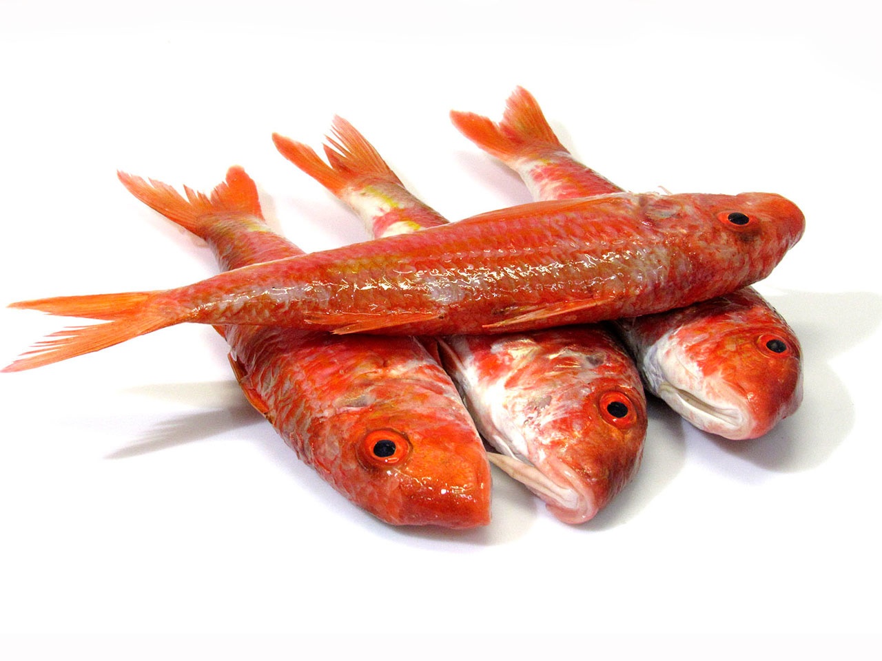 ROUGET ENTIER LVME Sofrimar